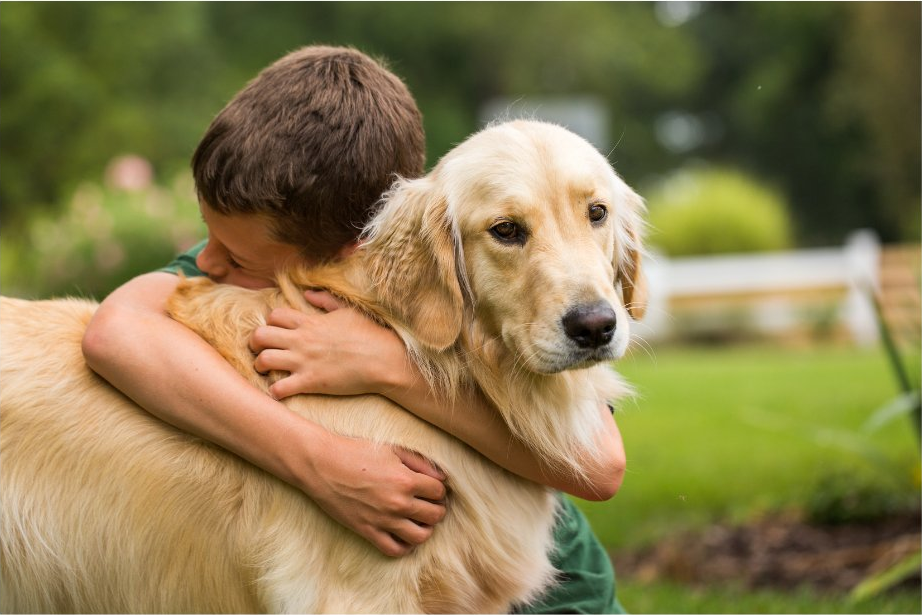 A child hugging the family dog, the reason Fresh Paws exists