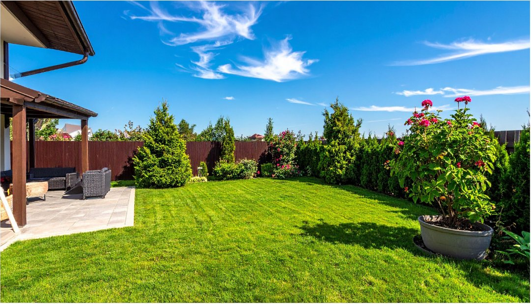 Cleaned and ready backyard