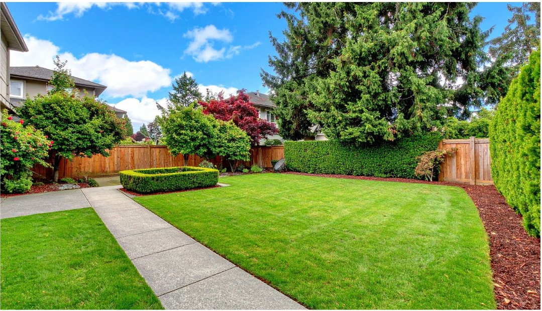 Cleaned backyard in 4S Ranch